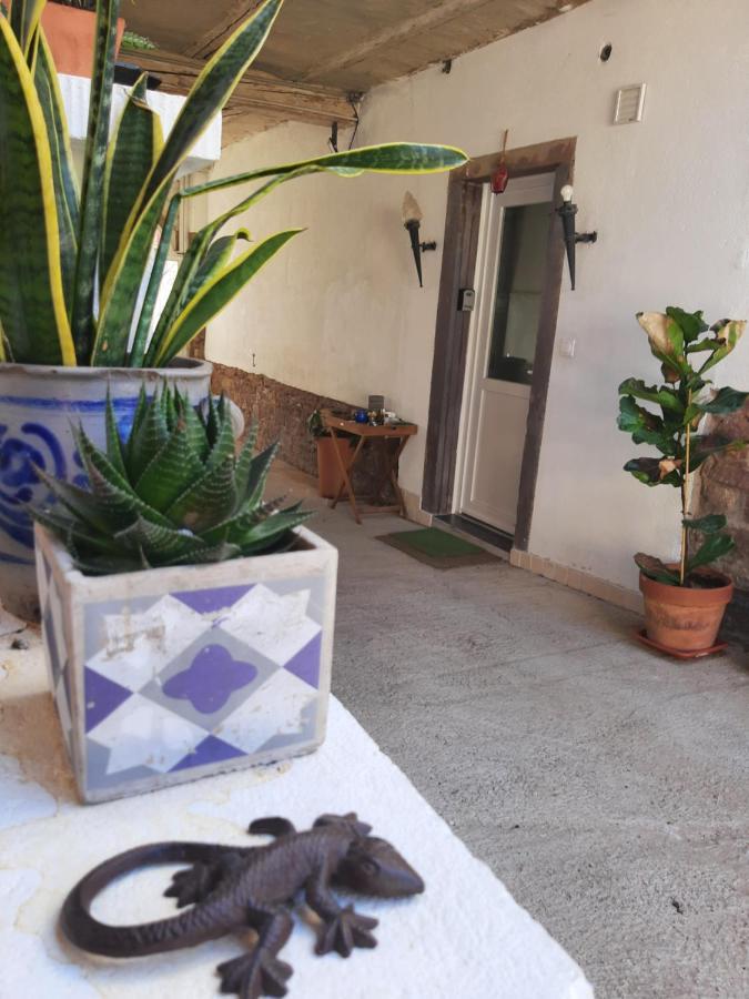 Studio Tout Confort 2 Personnes Au Coeur De L'Alsace Wolxheim Zewnętrze zdjęcie