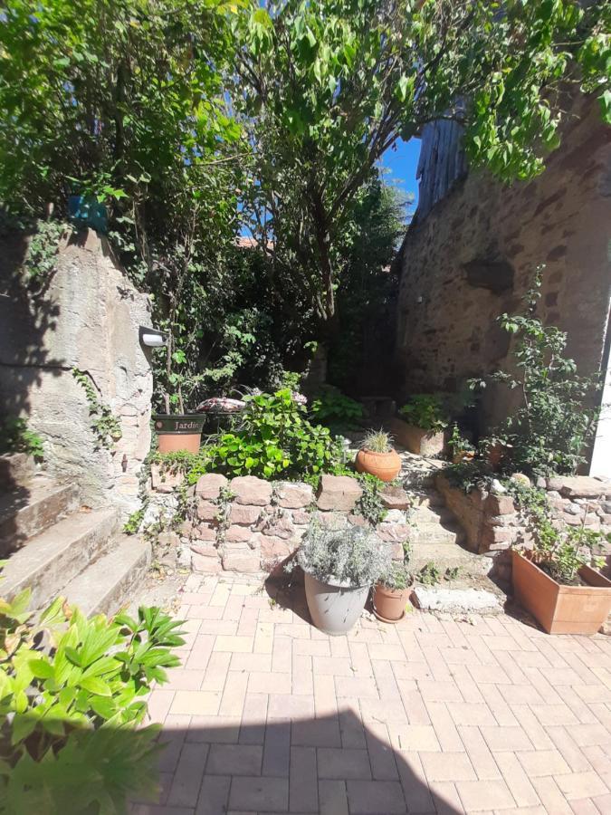Studio Tout Confort 2 Personnes Au Coeur De L'Alsace Wolxheim Zewnętrze zdjęcie