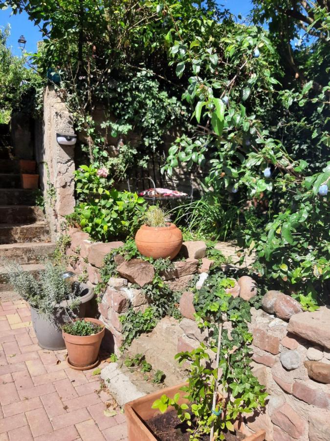 Studio Tout Confort 2 Personnes Au Coeur De L'Alsace Wolxheim Zewnętrze zdjęcie