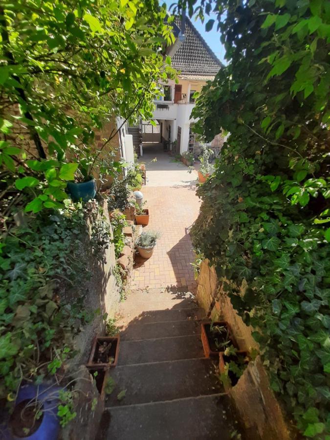 Studio Tout Confort 2 Personnes Au Coeur De L'Alsace Wolxheim Zewnętrze zdjęcie