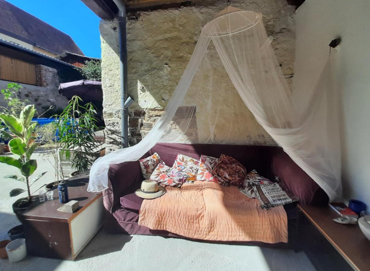 Studio Tout Confort 2 Personnes Au Coeur De L'Alsace Wolxheim Zewnętrze zdjęcie