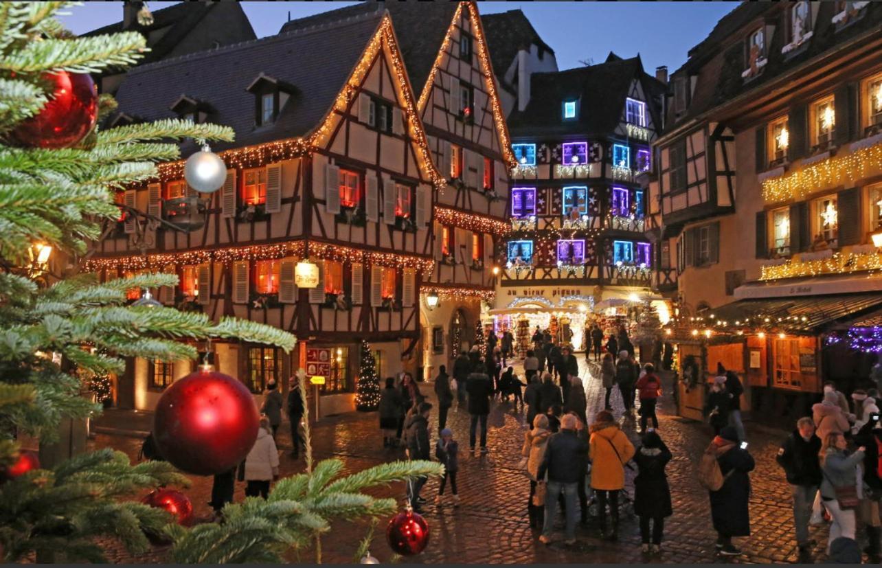 Studio Tout Confort 2 Personnes Au Coeur De L'Alsace Wolxheim Zewnętrze zdjęcie