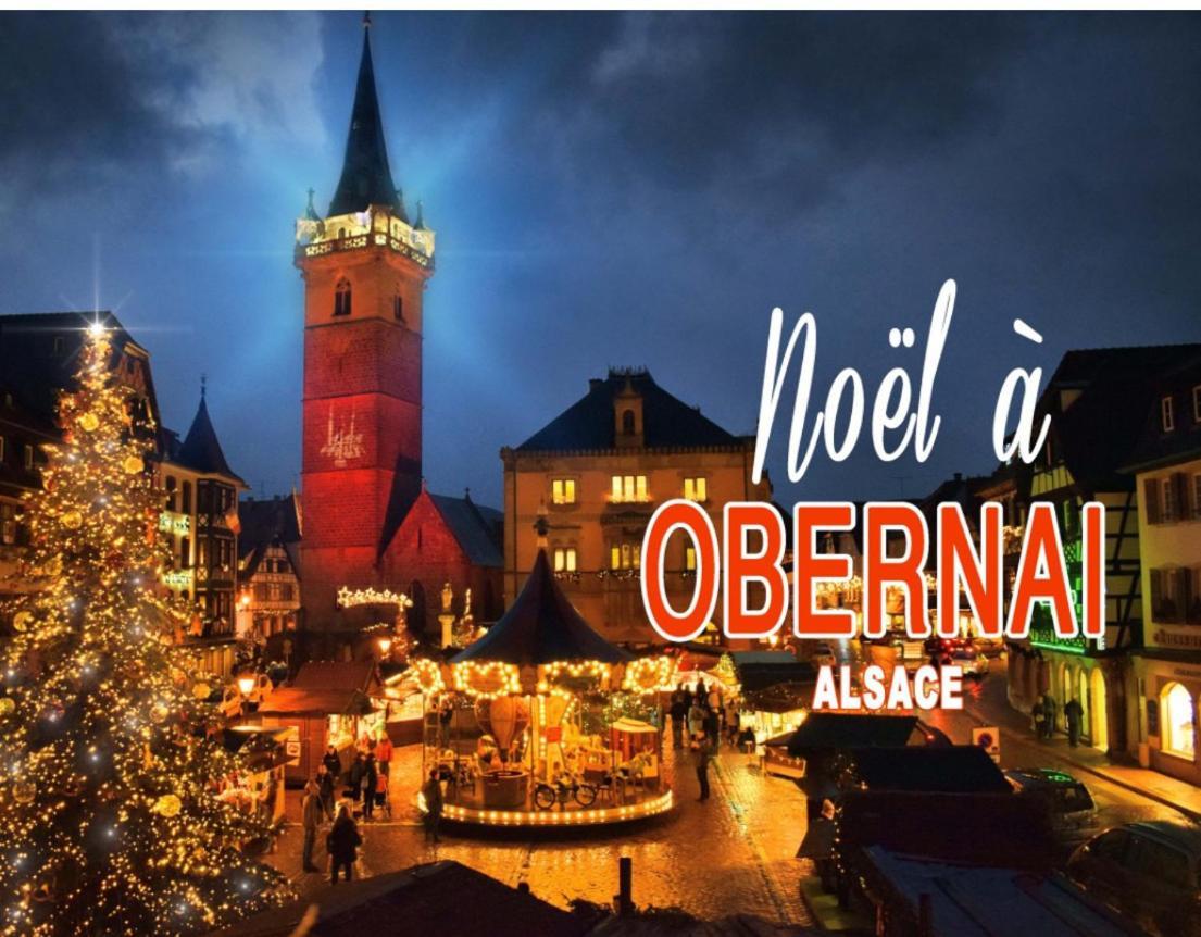 Studio Tout Confort 2 Personnes Au Coeur De L'Alsace Wolxheim Zewnętrze zdjęcie