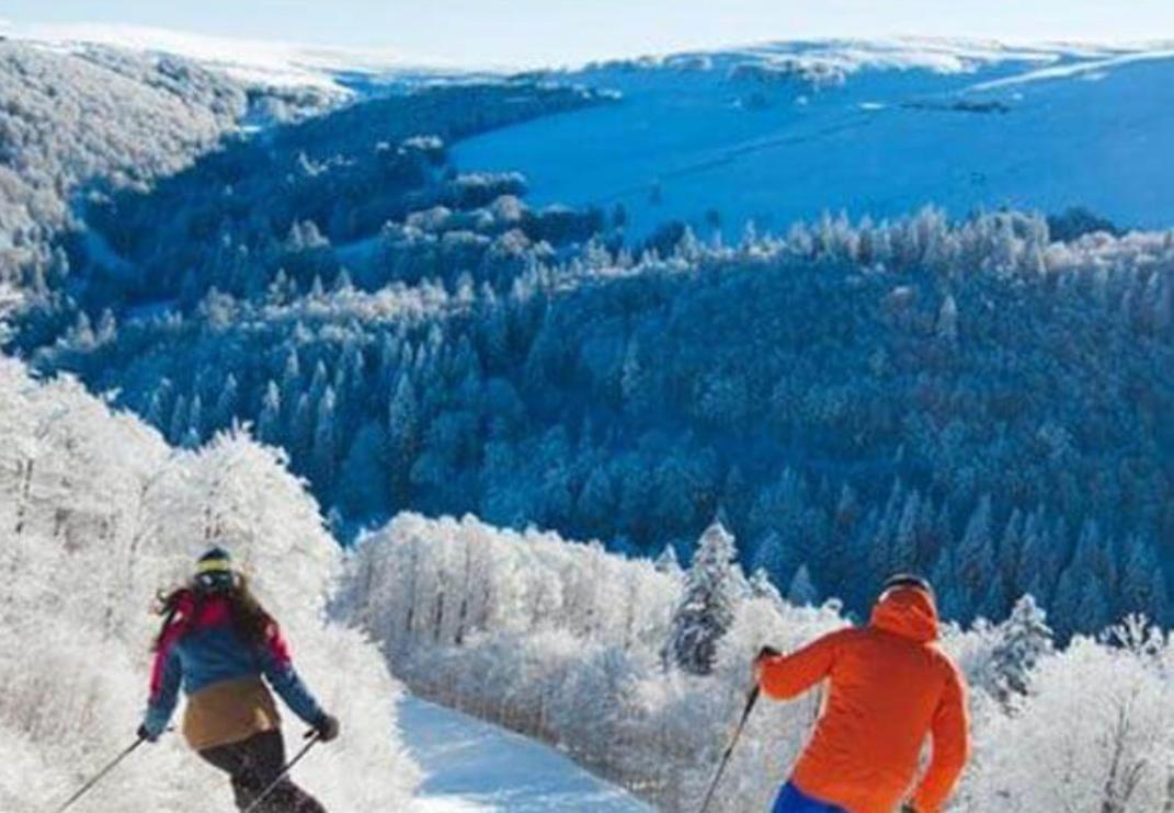 Studio Tout Confort 2 Personnes Au Coeur De L'Alsace Wolxheim Zewnętrze zdjęcie