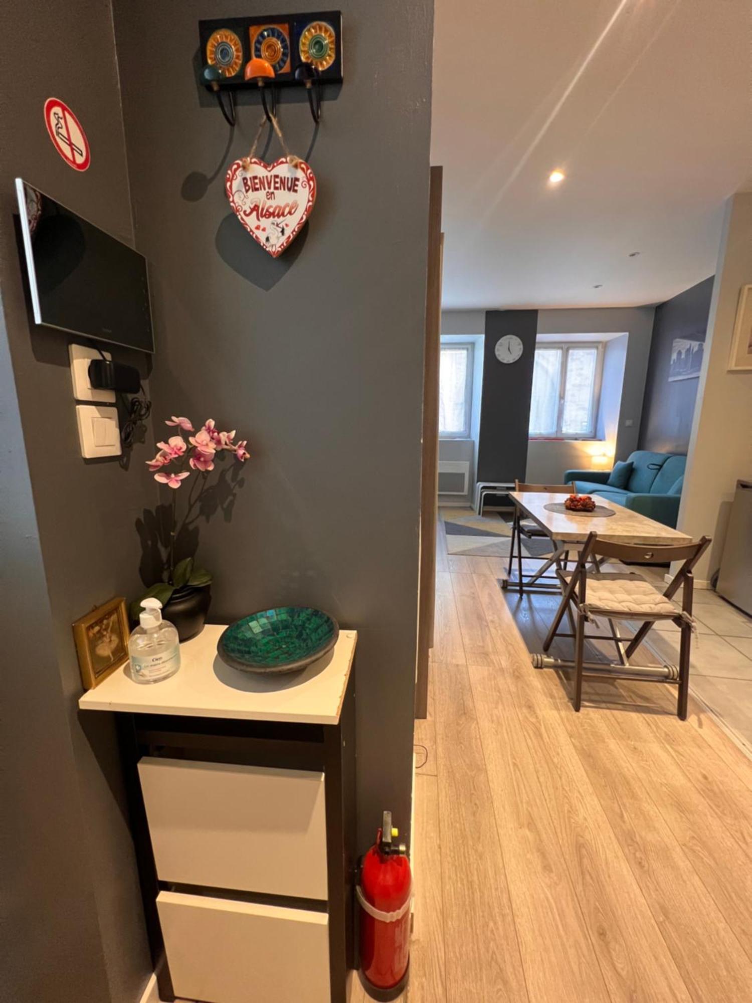 Studio Tout Confort 2 Personnes Au Coeur De L'Alsace Wolxheim Zewnętrze zdjęcie