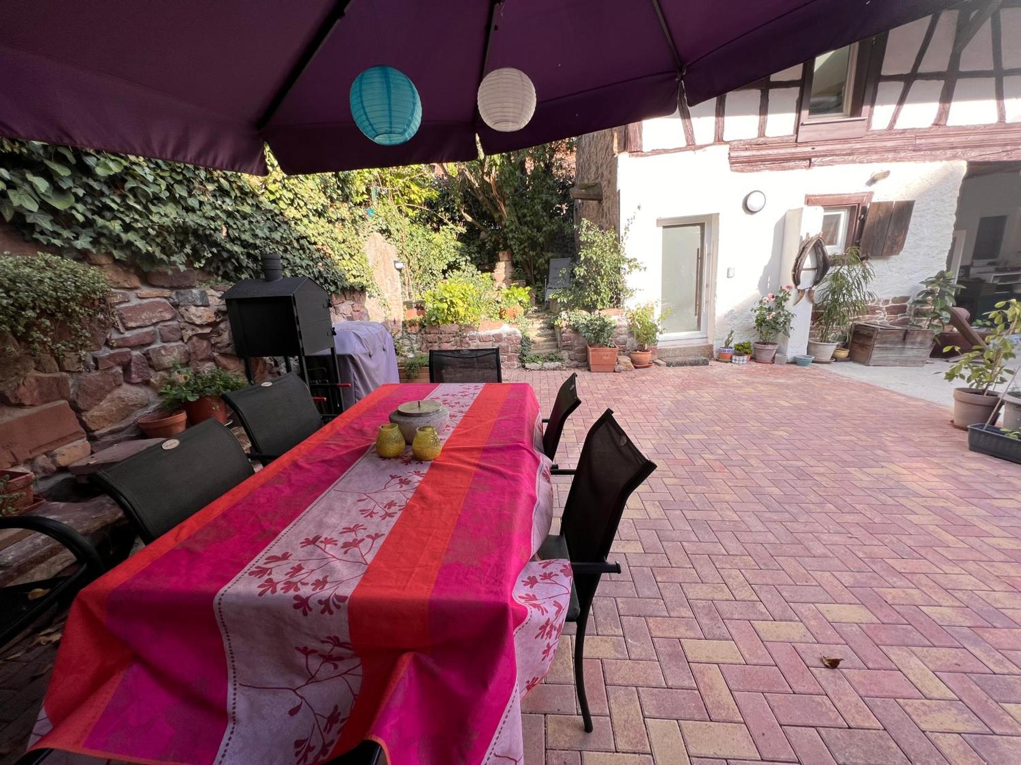 Studio Tout Confort 2 Personnes Au Coeur De L'Alsace Wolxheim Zewnętrze zdjęcie